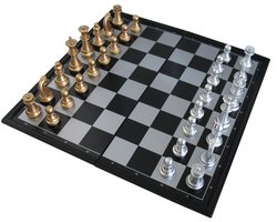 HOT Games Schaakcas. Zwkunst.magn.24x12x4cm..